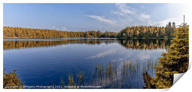 Tonnersjo Lake Panorama Print by DiFigiano Photography