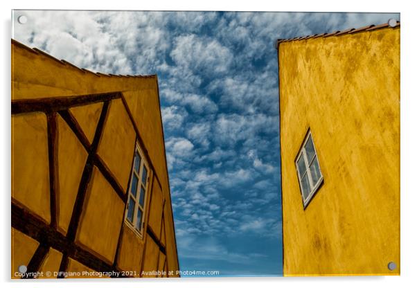 Yellow and Blue Acrylic by DiFigiano Photography