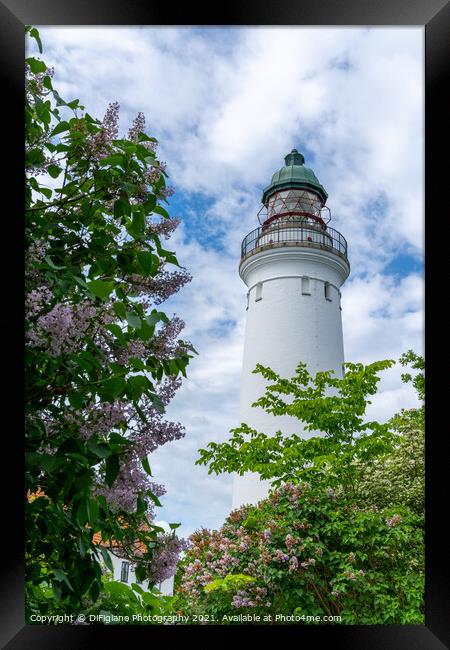 Stevns Klint Lighthouse Framed Print by DiFigiano Photography