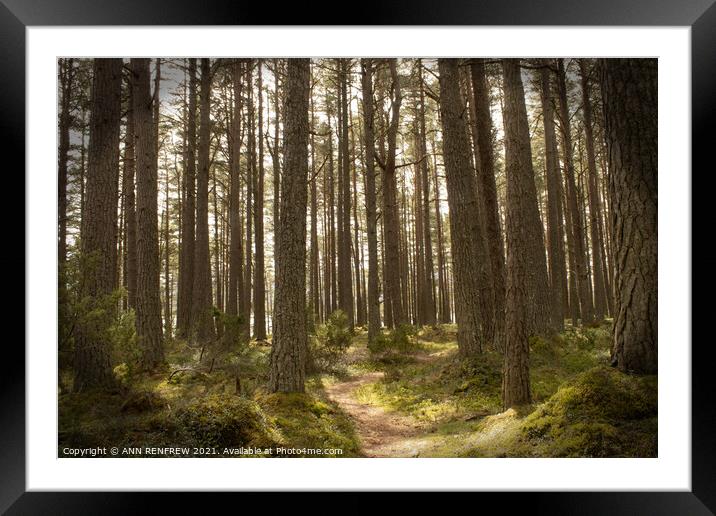 Where does this path lead? Framed Mounted Print by ANN RENFREW