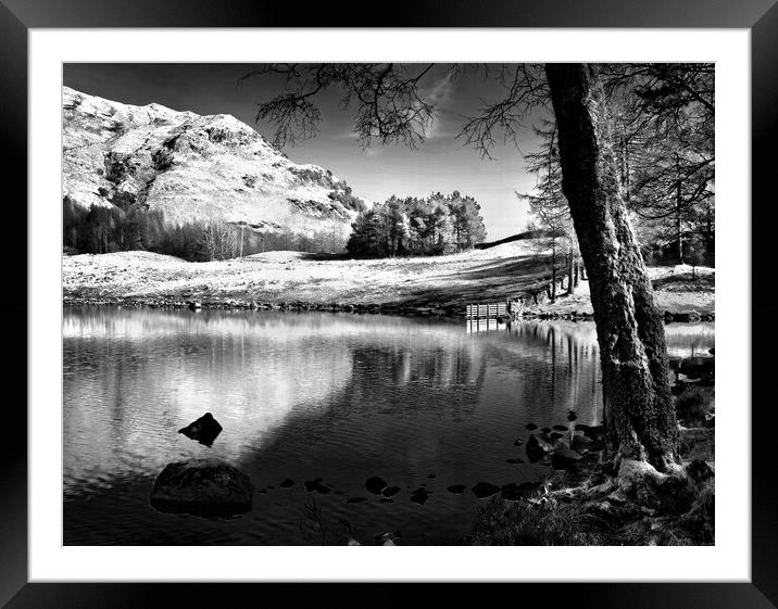 The Banks of Blea Tarn     Framed Mounted Print by Darren Galpin