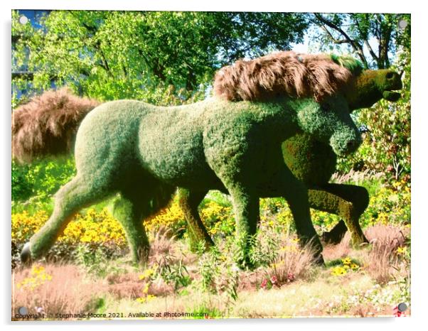 Wild ponies Acrylic by Stephanie Moore