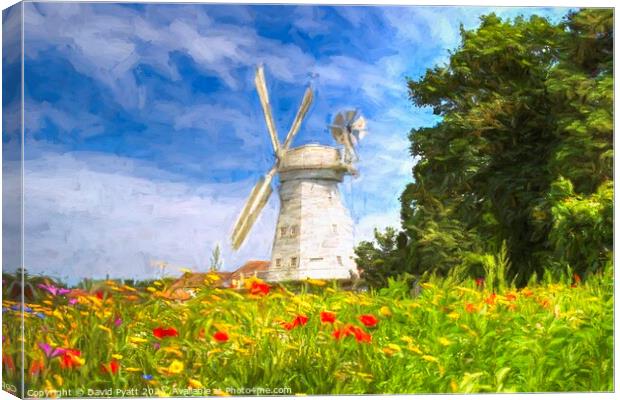 Windmill Meadow Art Canvas Print by David Pyatt