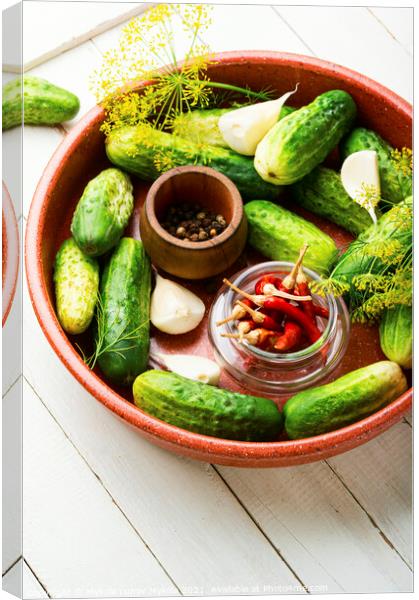 Homemade cucumber pickling and ingredients Canvas Print by Mykola Lunov Mykola
