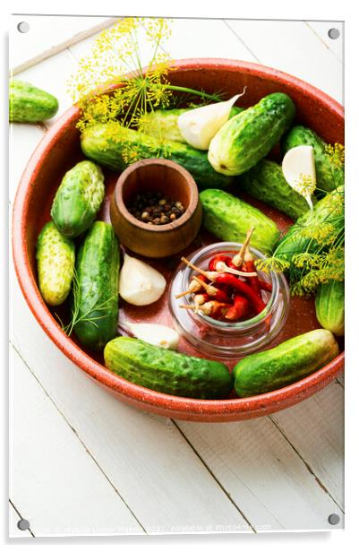 Homemade cucumber pickling and ingredients Acrylic by Mykola Lunov Mykola