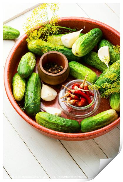 Homemade cucumber pickling and ingredients Print by Mykola Lunov Mykola