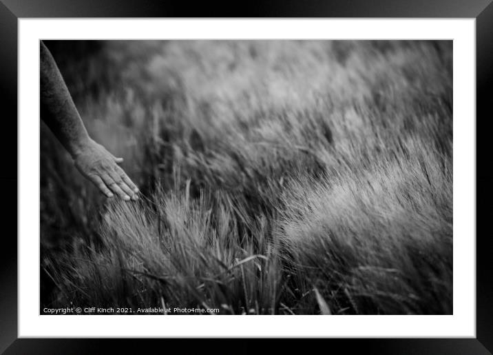 The touch of barley Framed Mounted Print by Cliff Kinch
