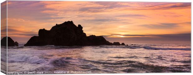Big Sur Sunset Canvas Print by David Hare
