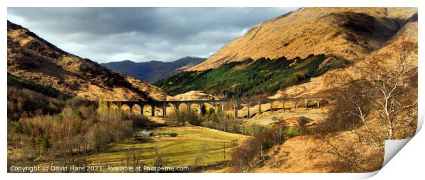 Glenfinnan Viaduct Print by David Hare