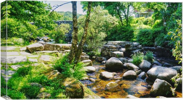 Dartmeet On A Summers Day Canvas Print by Peter F Hunt
