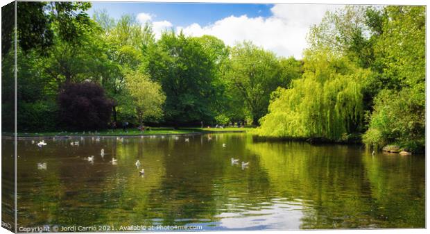 Lake of St Stephen's Green Canvas Print by Jordi Carrio
