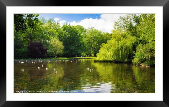 Lake of St Stephen's Green Framed Mounted Print by Jordi Carrio