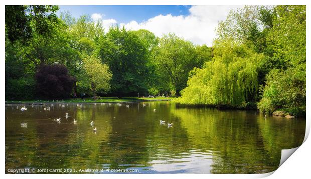 Lake of St Stephen's Green Print by Jordi Carrio