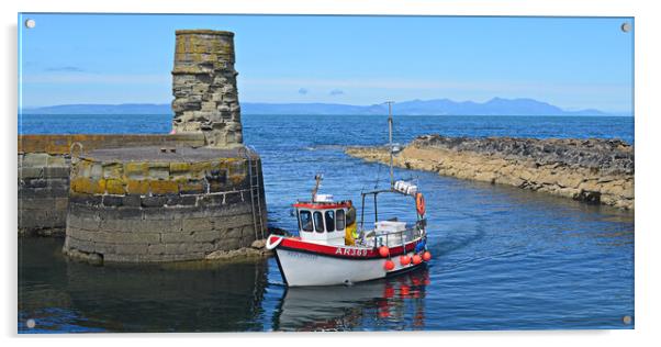 Dunure harbour arrival Acrylic by Allan Durward Photography