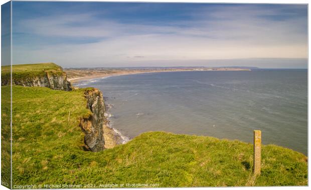 Clifftop View of Filey Bay from Buckton Cliffs Canvas Print by Michael Shannon