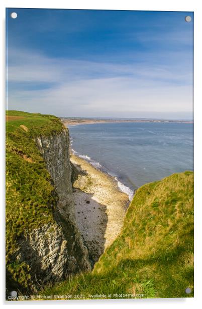 Buckton Cliffs - View towards Filey Acrylic by Michael Shannon