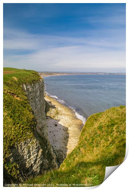 Buckton Cliffs - View towards Filey Print by Michael Shannon
