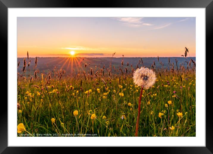 Sunset over a flower meadow Framed Mounted Print by Gary Holpin