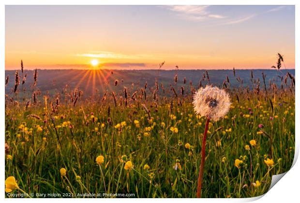 Sunset over a flower meadow Print by Gary Holpin