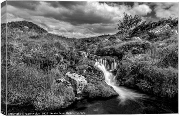 River Meavy Dartmoor  Canvas Print by Gary Holpin