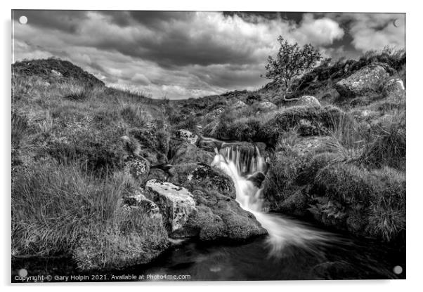 River Meavy Dartmoor  Acrylic by Gary Holpin