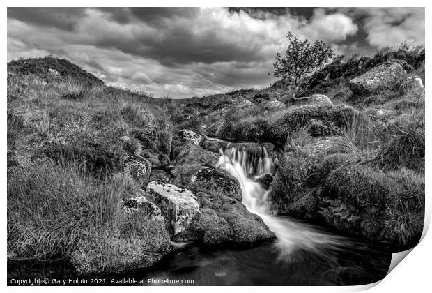 River Meavy Dartmoor  Print by Gary Holpin