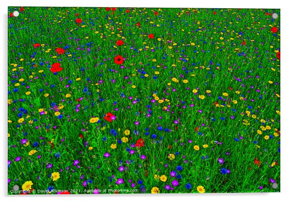 Wild Flowers Acrylic by David Atkinson