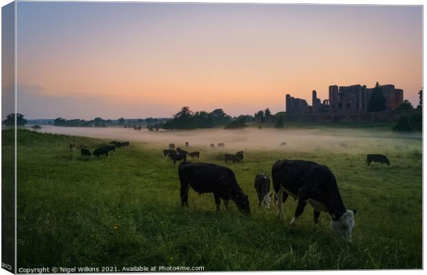Cattle Grazing at Kenilworth Castle Canvas Print by Nigel Wilkins