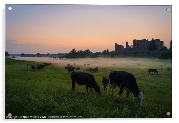Cattle Grazing at Kenilworth Castle Acrylic by Nigel Wilkins