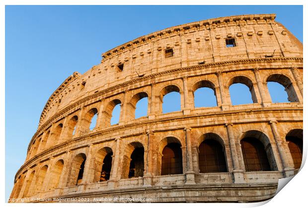 Colosseum in Rome, Italy Print by Marcin Rogozinski