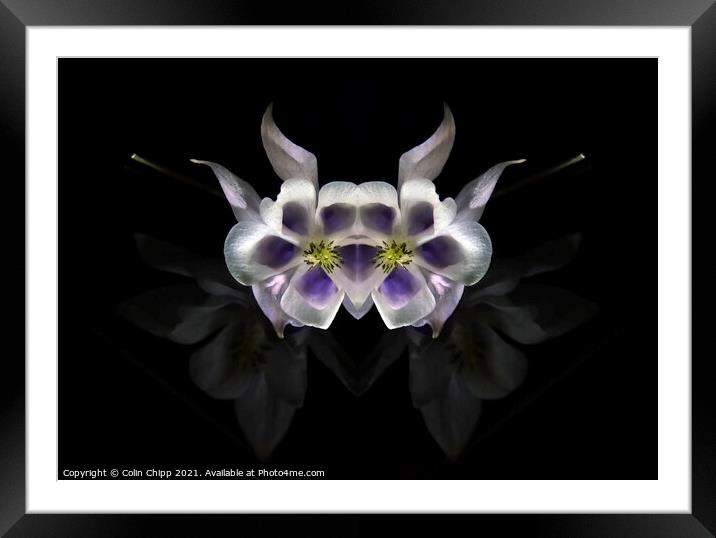 Alien flowers Framed Mounted Print by Colin Chipp