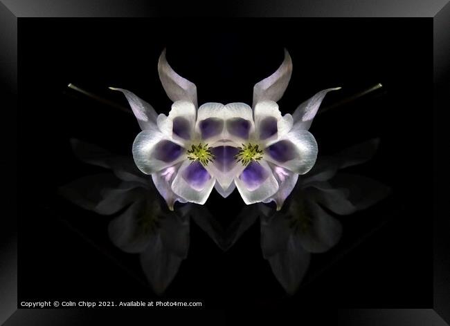 Alien flowers Framed Print by Colin Chipp