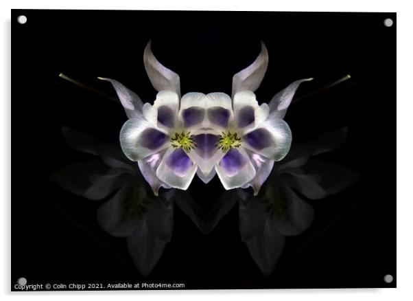 Alien flowers Acrylic by Colin Chipp