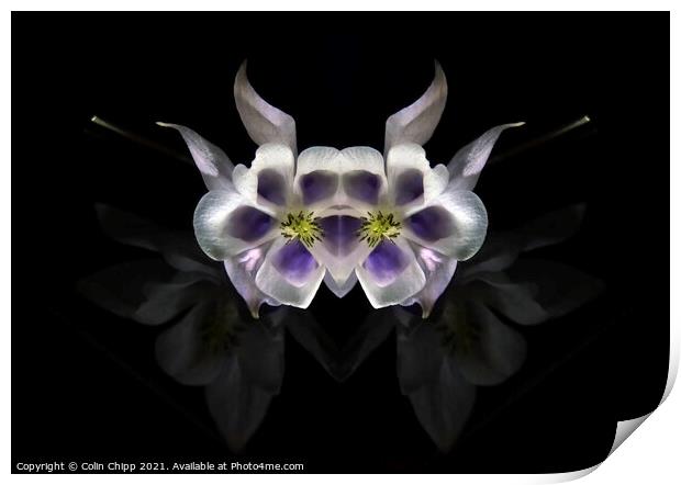 Alien flowers Print by Colin Chipp