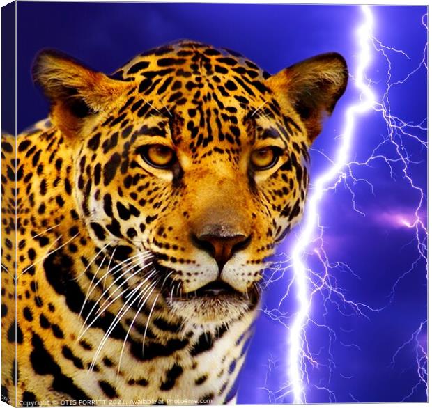 Jaguar 2 Canvas Print by OTIS PORRITT