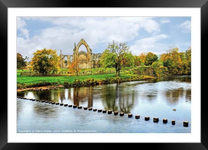 Bolton Abbey River Wharfe Yorkshire Framed Mounted Print by Diana Mower