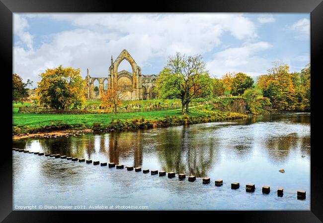 Bolton Abbey River Wharfe Yorkshire Framed Print by Diana Mower