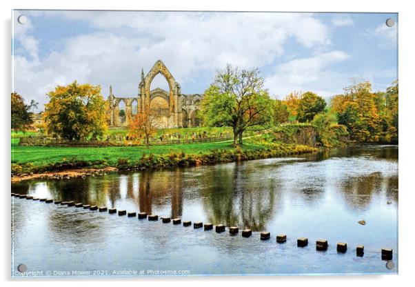 Bolton Abbey River Wharfe Yorkshire Acrylic by Diana Mower