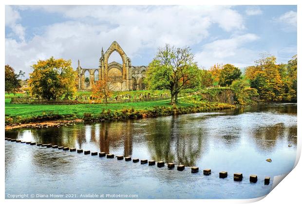 Bolton Abbey River Wharfe Yorkshire Print by Diana Mower