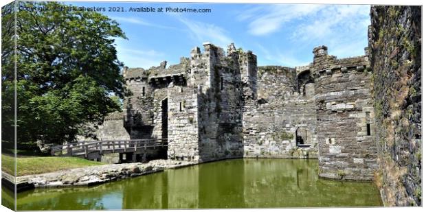 Medieval fortress surrounded by nature Canvas Print by Mark Chesters