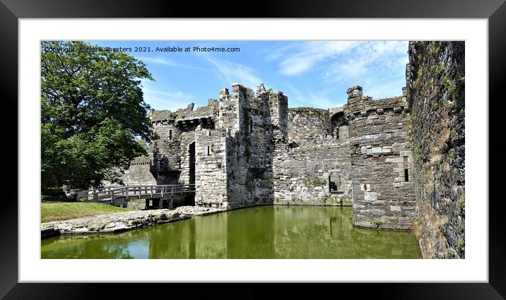 Medieval fortress surrounded by nature Framed Mounted Print by Mark Chesters