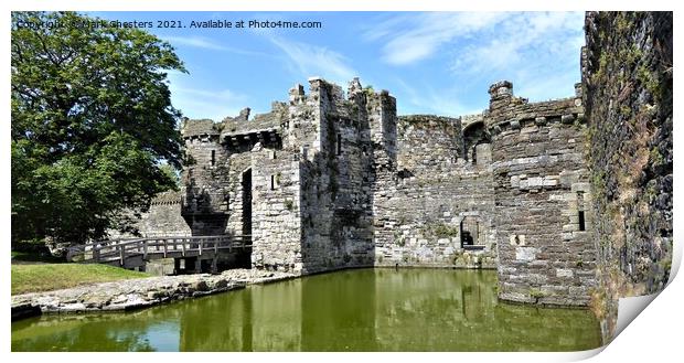 Medieval fortress surrounded by nature Print by Mark Chesters