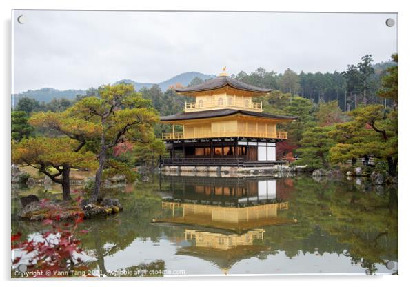 View of Kinkakuji, Temple of the Golden Pavilion buddhist temple Acrylic by Yann Tang