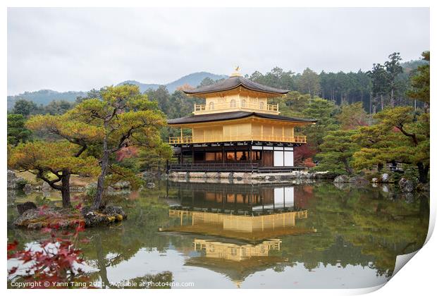 View of Kinkakuji, Temple of the Golden Pavilion buddhist temple Print by Yann Tang
