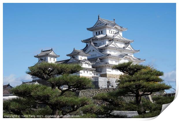 Landscape view of the main tower of Himeji Castle on the hillsid Print by Yann Tang