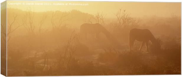 Misty Morning in The New Forest Canvas Print by Derek Daniel