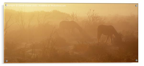 Misty Morning in The New Forest Acrylic by Derek Daniel