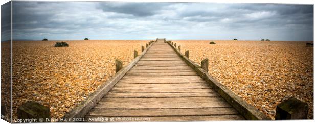 Wooden Walkway Canvas Print by David Hare