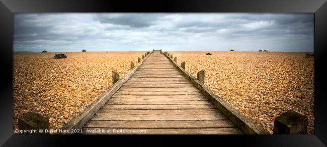 Wooden Walkway Framed Print by David Hare