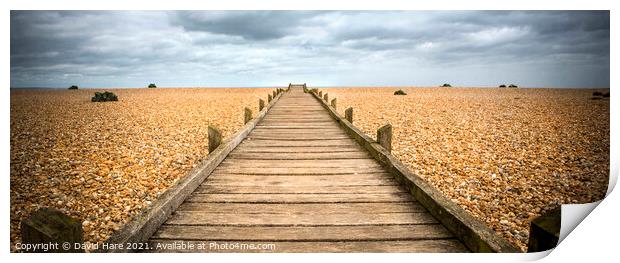 Wooden Walkway Print by David Hare